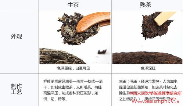 付荣群：普洱茶的知识