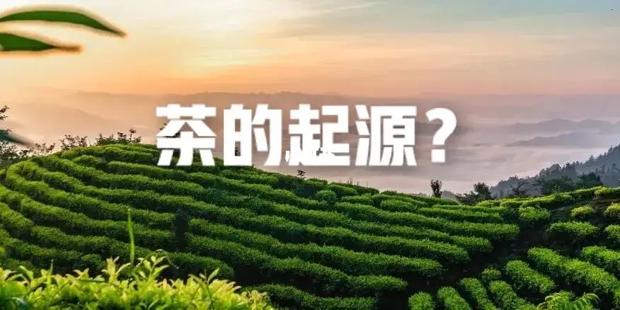 周瑞春：神圣与世俗：茶文化全球在地化的两种向度