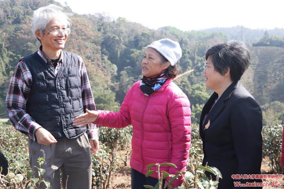 星星之火，椰仙茶红——对话五指山“茶姐”郑丽娟女士